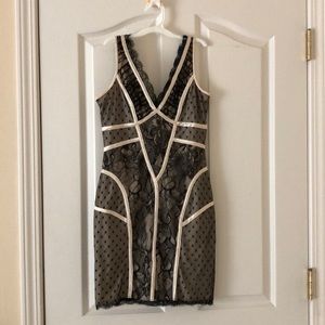 bebe Black and Cream Lace Dress